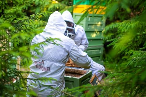 Reiner, wilder, natürlicher, roher Honig, 1 kg, ungefiltert, natürlicher Honig aus dem Ostseewald in Estland, nachhaltig geerntet mit 100% grüner Energie