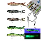 Njord Kalastus Hecht Köder Set Kunstköder 5 Stück in Box Angel-Köder zum Raubfisch-Angeln – Wobbler mehrteilig mit Gelenk für realistischen Lauf langsam sinkend (5 Köder + Box 11g 10cm)