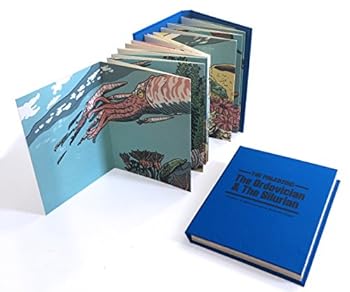 Unknown Binding The Ordovician and the Silurian Book