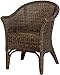 Rattan-Sessel Natur Korb-Sessel Rattansessel Rattanstuhl mit Armlehnen Lounge Flechtsessel (Schwarz-Braun)