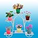 QUIET4.6'' High Quality 6 Candy Colors Fashion Stripes Plastic Flower Pots Planters With Saucers & Free Planting Tools