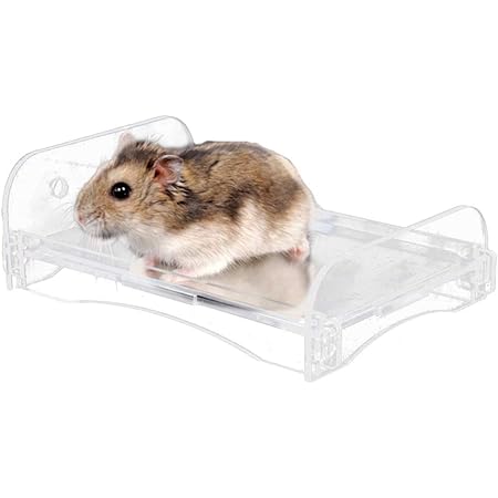 Amazon Popetpop 涼感プレート ハムスター ベッド 小動物用ハウス ウサギ 冷却マット ひんやり 涼しい 熱中症防止 暑さ対策 アクリル製 ベッド アルミクールマット Popetpop 飼育ケージ内装 通販