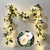 Fielegen 20 LED Eucalyptus Garland with Lights, 6.5ft Artificial Rose Flower Wall Hanging Greenery Spring Garland Vines String Lights for Wedding Backdrop Arch Door Birthday Party Home Garden Decor