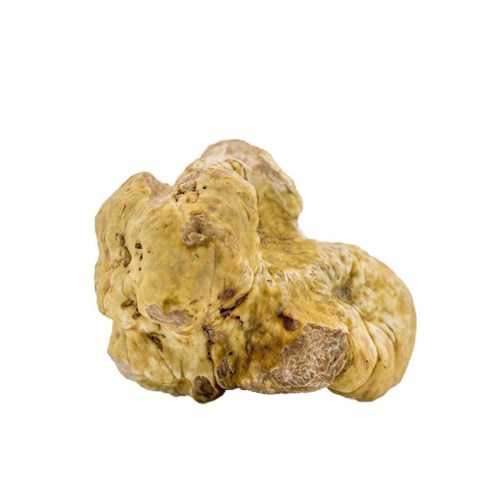 EXTREMELY FRESH WHITE & BLACK ITALIAN TRUFFLES |From in Italy| (White, 10 Ounce)