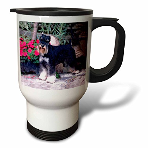 3dRose Boston Terrier Travel Mug, 14-Ounce, Stainless Steel