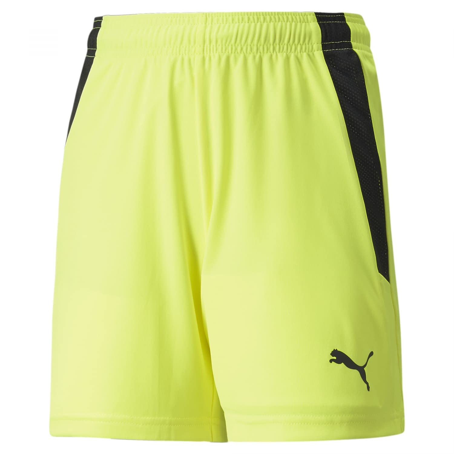 PUMA teamLIGA Shorts Jr