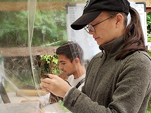 Episode 24: Summer School for Interns - Liam Singh and Rebecca Reader-Lee