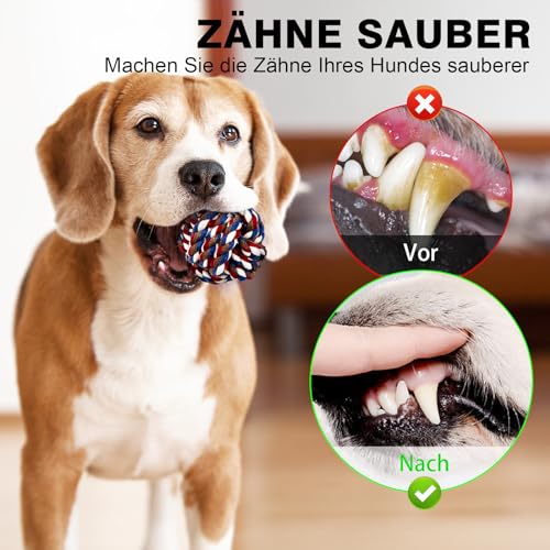 Wodondog Hundekauspielzeug,welpenspielzeug,8 Stück Spielzeugset für Welpen,Tauziehen Plüschhundespielzeug, Natürlicher Baumwolle & Ungiftig, Lindern Sie Stress und Langeweile