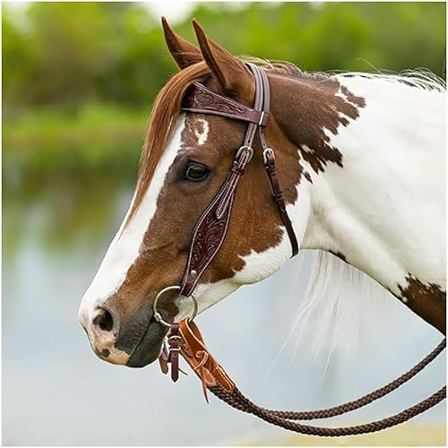 Miniatura 3 de Doble S Apache Browband Headstall  Equipo esencial para caballos  Uso versátil  Diseño manual  Ajustable y cómodo  Acentos de acero inoxidable