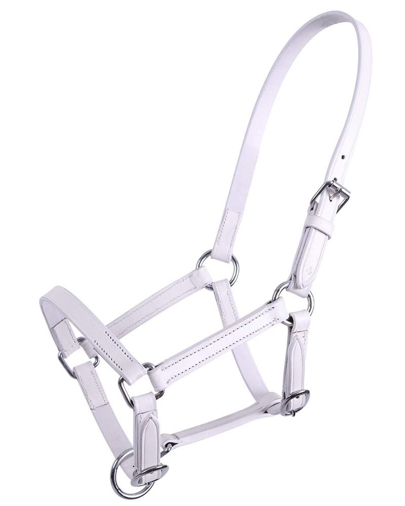 Cabestro de piel para potro QHP suave y resistente 2