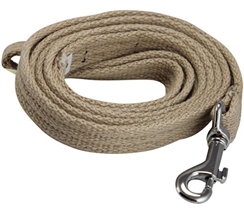 Dog Leash 4.5ft Long Cotton Web for Training, Beige 4 Sizes (Small: 5/8