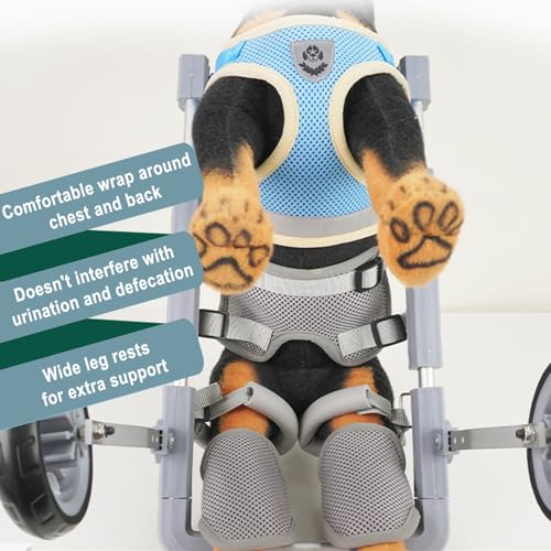 Silla de ruedas para perros: devuélvale la alegría de correr y explorar a su compañero 7
