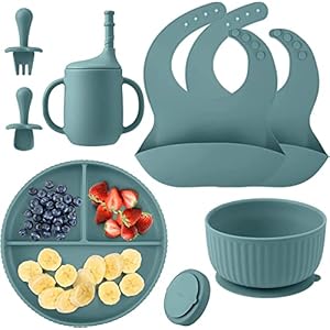Silicone Baby Feeding Set, 2 Adjustable Bibs with Food Collectors, 1 Suction Cup Divider, 1 Suction Cup, 1 Sippy Cup,1 Stage 1 Spoon and 1 Fork, Baby Led Weaning Utensils,Toddler Self Feeding Set