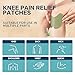 Knee Pain Relief Patch 40 Count- for Knee, Neck, Shoulder, Back and Bone-on-Bone Hot Patch, 8 Hours of Long-Lasting Joint Pain Relief