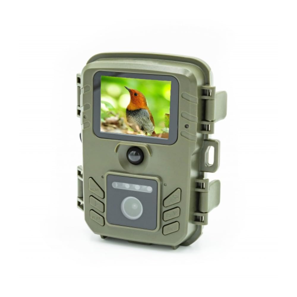 Sorveglianza della macchina fotografica di birdwatching per i piccoli animali con l'alta risoluzione all'aperto dell'alimentatore del sensore di moto