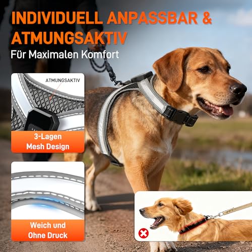 HENMI Hundegeschirr Leuchtend mit Hundeleine, Air-Mesh Leuchtgeschirr für Mittlere Hund, LED Aufladbar Reflektierend Geschirr Set für nächtliche Spaziergänge
