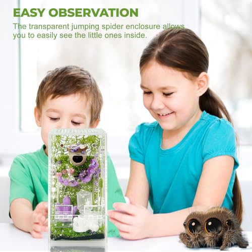 Image of Jumping Spider Enclosure,DIY Insects Habitat,Small Reptile Terrarium Glass House Accessories Set,with Jumping Bridge Hide Water Feeder (Purple)