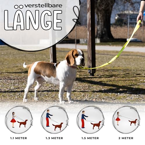 FIRSTPAW Hundeleine - Wasserdicht Trainingsleine für Hunde - 2m Doppelleine - Gelbe Hundeleine für Klein, Mittelgroße und Große Hunde - Multifunktionelle und Verstellbare Leine Hund