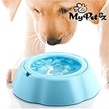 Tränkebecken für Haustiere My Pet Frosty Bowl