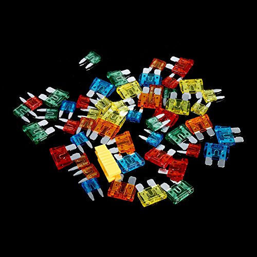 Kit surtido de 50 piezas de clips y fusibles automotrices de tamaño estándar en aleación de zinc con caja de almacenamiento transparente miniatura 5