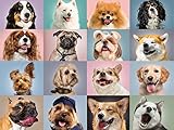 300 Piece Puzzles for Adults Cute Dog Jigsaw Puzzles for Kids Family Games Activities Birthday Home