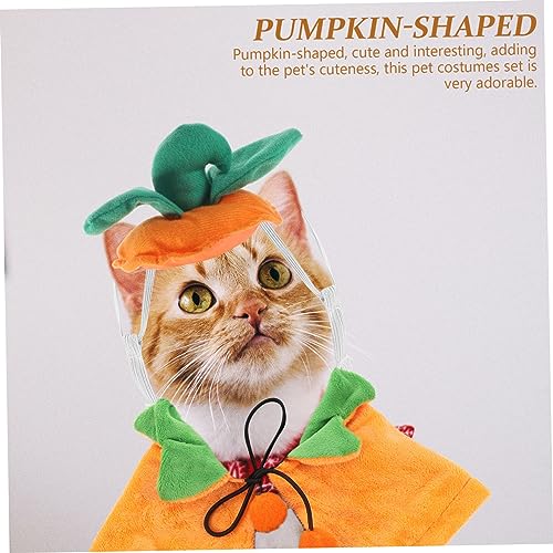 Disfraz para perro Halloween capa y sombrero miniatura 6