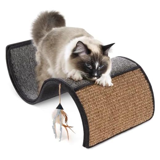 Petlinks Dream Curl Cat Scratcher