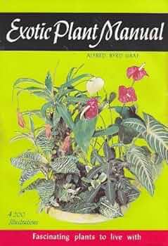 【Ebi Botanical Life】 512P-68Py7L._AC_UF350,