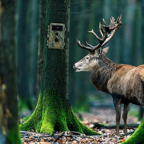 2-Pack Outdoor Game & Deer Trail Cameras Camo No Glow Night Vision 24Mp 1296P Mp4 Video For Hunting Wildlife & Home Surveillance Motion Activated Waterproof Field & Backyard Camera Photo & Video Model #TOP2