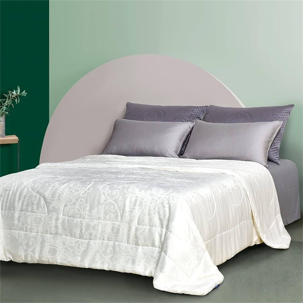 Silk Comforter Silk Duvet Silk Quilt Natural Silk Bedding Cool Blanket for Machine Washable(220 * 240CM)