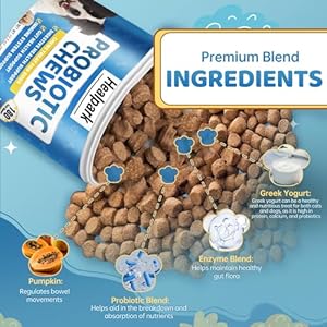 Probiotics for dogs  dog probiotics and digestive enzymes for gut health itchy skin allergies immunity yeast balance  prebiotics  reduce diarrhea gas  180 probiotic chews supplement for dogs   cucciolini doodles