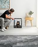 lionto Tiertransportbox für Hunde und Katzen, vielseitiger Transportkäfig mit hygienischer Kunststoffwanne, 61x44x51 cm, Hundebox aus Metall mit stabilen Sicherheitsverschlüssen & Trennwand, schwarz
