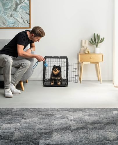 lionto Tiertransportbox für Hunde und Katzen, vielseitiger Transportkäfig mit hygienischer Kunststoffwanne, 61x44x51 cm, Hundebox aus Metall mit stabilen Sicherheitsverschlüssen & Trennwand, schwarz