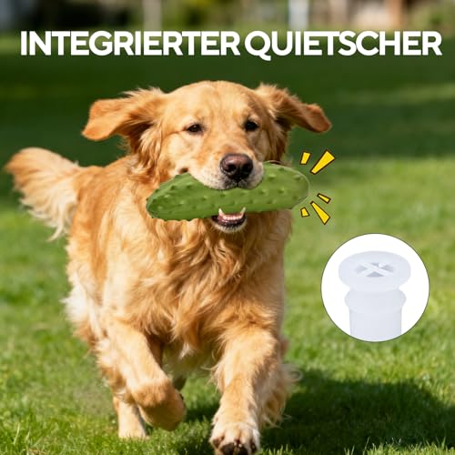 LIFLIX Hundespielzeug Quietschend für Kauer, Harte Kauspielzeug Hund aus Naturkauschuck, Hundespielzeug Robust für Kleine Mittelgroße und Große Hunde, Gurke Form