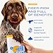 Native Pet Pumpkin for Dogs - Organic Powder Pumpkin Puree Dog Food Toppers -Rich in Fiber Supplement Powder Helps with Digestion, Nutrient Absorption, Diarrhea, Constipation & Upset Stomach-30 Scoops