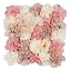 Champagne, White, Pink