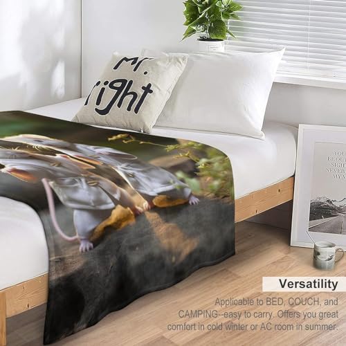 Manta calida de microfibra aislante termica lavable para cama y sofa 7