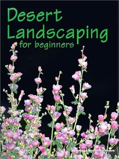 Desert Beginner Desert Landscaping Guide