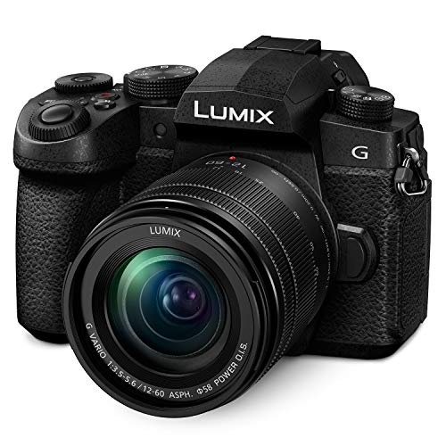 Panasonic Lumix Dc-G95 Mirrorless Digital Camera With 12-60Mm Lens Bundle With 64Gb 200 Mb/S Extreme Pro Sd Card, Dual Battery & Charger Kit, Camera Bag, 3-Piece Filter Kit, & 10" Spider Tripod #TOP7