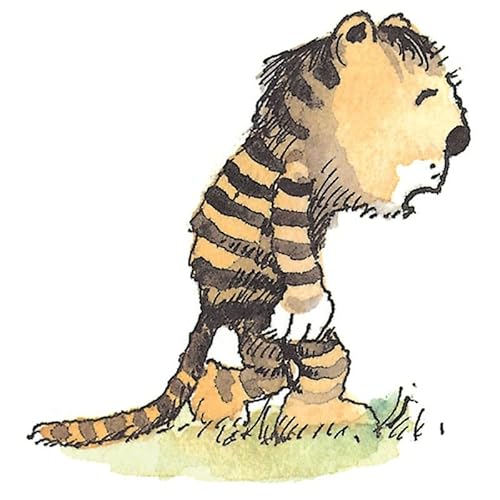 Ti curo io, disse Piccolo Orso