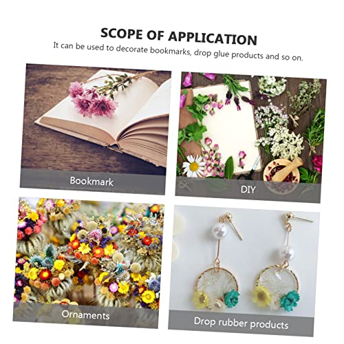 SEWACC 2 Conjuntos De Flores Secas Decoração Manual Acessórios Para Scrapbook Flores Secas Para Resi