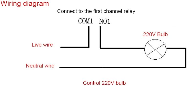 IP Network Relay Module,2 Channel Internet Watchdog Remote Control Modules Remote Switch Momentary Self Locking Relay with Case for Smart Home Control