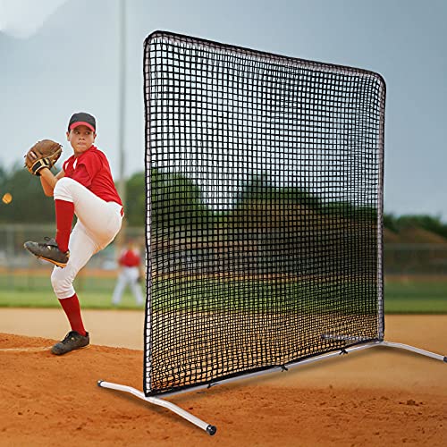 The 29 Best Baseball & Softball Protective Screens of 2023 [Verified