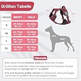 Demigreat Mittleres Hundegeschirr, Anti-Zug-Hundegeschirr mit Weich Gepolstertem Griff für das Training Beim Spazierengehen, Verstellbar, Reflektierend, für Kleine, Mittlere und große Hunde