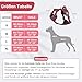 Demigreat Mittleres Hundegeschirr, Anti-Zug-Hundegeschirr mit Weich Gepolstertem Griff für das Training Beim Spazierengehen, Verstellbar, Reflektierend, für Kleine, Mittlere und große Hunde