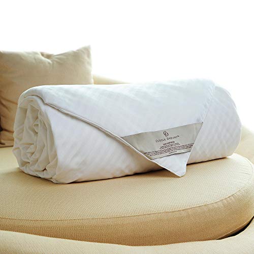 CUDDLE DREAMS Silk Comforter for Spring/Summer/Fall, 100% Long-Strand Silk Filling, Natural...