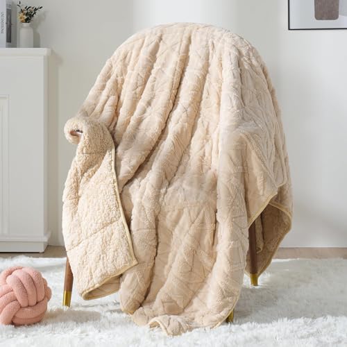 Image of Mr. Sandman Fleece Weighted Blanket for Adults Twin Size 15lbs, Heavy Throw Bed Blankets for Sleep and Calm, Soft Warm Sherpa Blanket for Winter, 48 x 72 Inches, Light Khaki