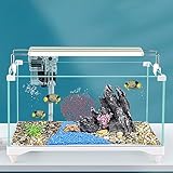 Acuario de Cristal Decorativo con Paisajismo Ecológico – Acuario de Escritorio Ultratransparente para el Hogar y la Oficina – Tortuguera con Drenaje Inferior y Luz LED(60cm/23.6in)