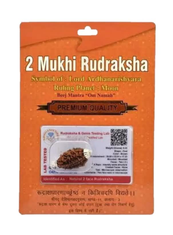 Rudraksha Brown Certificate Lab Test & X-ray Report with Silver Capping| Rudraksha Pendant for Men & Women, 2 Mukhi, Rudraksha