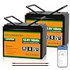 ECO-WORTHY 12V 200Ah (2 pack 100Ah) LiFePO4 Lithium Bluetooth Battery with Low-Temp Protection, Built-in BMS, Up to 15000+ Life Deep Cycles, Perfect for RV, Marine, Motorhome, Household Battery
